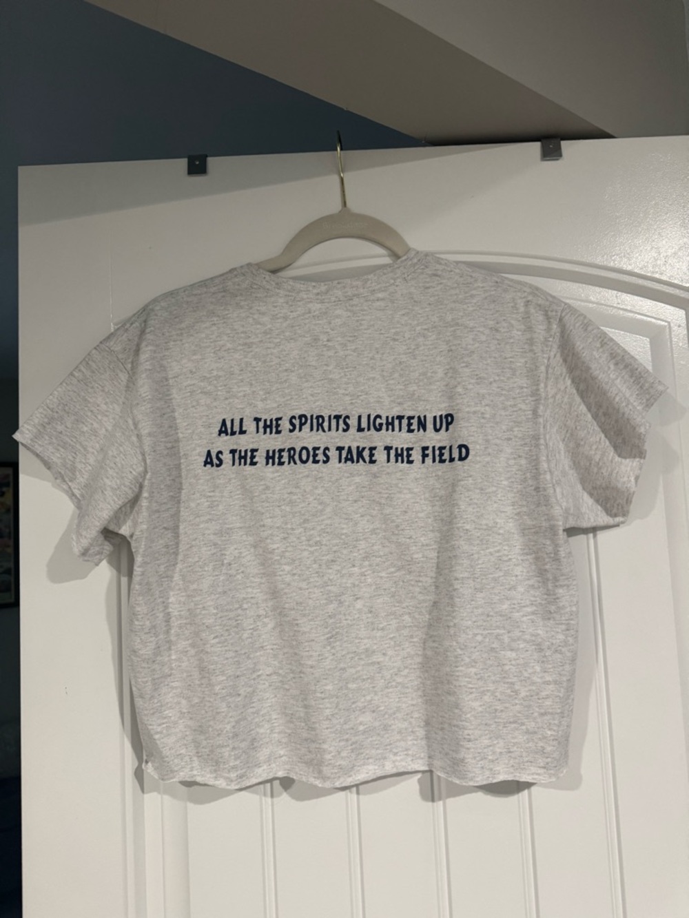Widespread Panic x ATL Braves Women’s Cropped Tee - Picture 2 of 5
